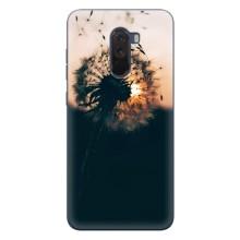 Силиконовый Чехол с одуванчиками на Xiaomi POCO F1 – Красивый одуванчик