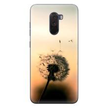 Силиконовый Чехол с одуванчиками на Xiaomi POCO F1 – Роздумаханый одуванчик
