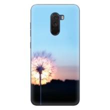 Силиконовый Чехол с одуванчиками на Xiaomi POCO F1 – Закат с одуванчиком
