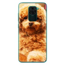 Чехлы с собаками для Xiaomi Redmi 10X (VPrint) (Щенок Бишон)