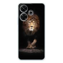 Чехол с картинкой на Xiaomi Redmi 13 – Красивый Лев