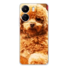 Чехлы с собаками для Xiaomi Redmi 14C (VPrint) (Щенок Бишон)