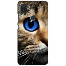 Чохли з Котиками для Xiaomi Redmi 7 (VPrint) (Око кота)