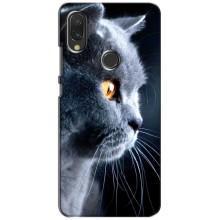 Чохли з Котиками для Xiaomi Redmi 7 (VPrint) (Сірий Кіт)