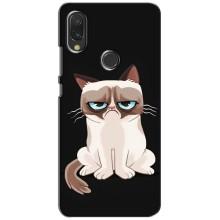 Чохол з принтом для Xiaomi Redmi 7 (AlphaPrint) Модні коти (Сумний кіт)