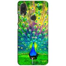 Чохол з пташками на Xiaomi Redmi 7 (VPrint) (Яскравий Павлин)