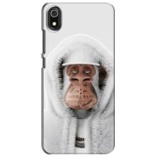 Чехлы с Обезьянами NFT для Xiaomi Redmi 7A (AlphaPrint) (обезьяна NFT в тату)