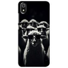 Чехол с принтом стильные животные для Редми 7А – Овечка в очках