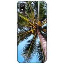 Силиконовый чехол с КАРТИНКАМИ лето для Xiaomi Redmi 7A (AlphaPrint) (Пальма)