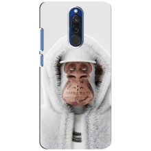 Чохли з Мавпами NFT для Xiaomi Redmi 8 (AlphaPrint) (мавпа NFT в тату)