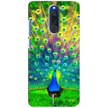 Чохол з пташками на Xiaomi Redmi 8 (VPrint) – Яскравий Павлин