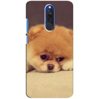 Чехол (ТПУ) Милые собачки для Xiaomi Redmi 8 – Померанский шпиц