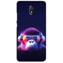 Чохол з Мавпами Xiaomi Redmi 8A - (AlphaPrint) (Стильна мавпа)