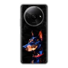 Бампер для Xiaomi Redmi A3 с картинкой "Песики" (Собака Мопс)