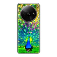 Чехол с птицами на Xiaomi Redmi A3 (VPrint) (Яркий Павлин)