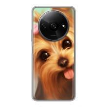 Чехол (ТПУ) Милые собачки для Xiaomi Redmi A3 – Йоршенский терьер