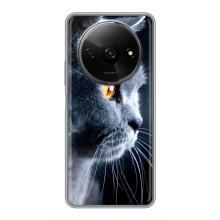 Чохли з Котиками для Xiaomi Redmi A3x (VPrint) (Сірий Кіт)