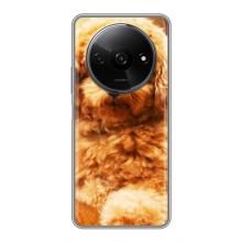 Чохли з собаками для Xiaomi Redmi A3x (VPrint) (Цуценя Бішон)