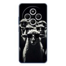 Чехол с принтом стильные животные для Редми A4 5G (Овечка в очках)