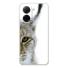 Чехлы с картинками животных Xiaomi Redmi A5 (Рысь)
