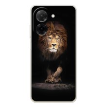 Чехол с картинкой на Xiaomi Redmi A5 – Красивый Лев