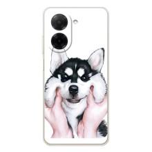 Бампер для Xiaomi Redmi A5 с картинкой "Песики" (Собака Хаски)