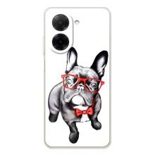 Бампер для Xiaomi Redmi A5 с картинкой "Песики" (В очках)