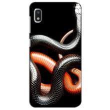 Чехлы с изображением разных животных для Xiaomi Redmi K20 Pro (Змея)