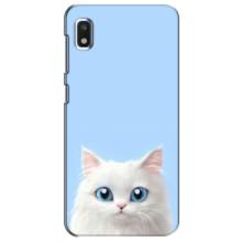 Чехол на тематику: Коты для Xiaomi Redmi K20 Pro (Белый кот)