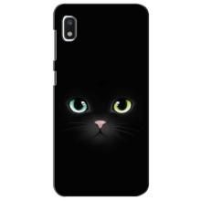 Чехол на тематику: Коты для Xiaomi Redmi K20 Pro (Черный Котик)