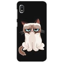 Чехол на тематику: Коты для Xiaomi Redmi K20 Pro (Взгляд кота)