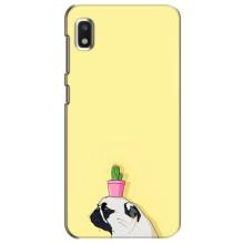 Бампер для Xiaomi Redmi K20 Pro з картинкою "Песики" (Кактус на голові)