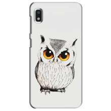 Чохол з пташками на Xiaomi Redmi K20 Pro (VPrint) (Мила Сова)