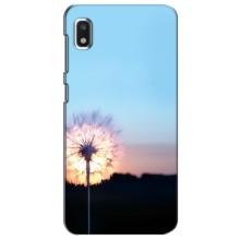 Силиконовый Чехол с одуванчиками на Xiaomi Redmi K20 Pro – Закат с одуванчиком