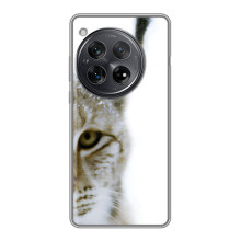 Чехлы с картинками животных Xiaomi Redmi K80 Pro – Рысь