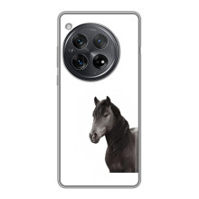 Чехлы с Лошадью дляXiaomi Redmi K80 Pro (VPrint)