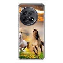 Чехлы с Лошадью дляXiaomi Redmi K80 Pro (VPrint) – Лошадки