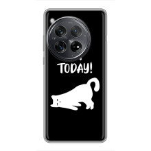 Бампер з зображенням Котиків для Шаксомі Редмі К80 Про (Not Today)