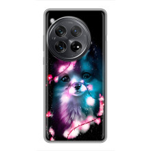 Чехол с Лисичкой для Xiaomi Redmi K80 Pro – Черная Лиса