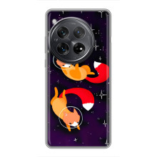 Чехол с Лисичкой для Xiaomi Redmi K80 Pro – Лисы