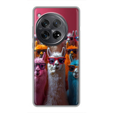 Чохол з принтом стильні тварини для Шіаомі Редмі K80 Pro (Лами в окулярах)