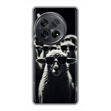 Чохол з принтом стильні тварини для Шіаомі Редмі K80 Pro (Овечка в окулярах)