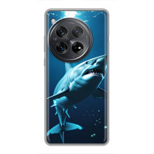 Чохол з картинкою 'Хижаки' для Xiaomi Redmi K80 Pro (Акула)