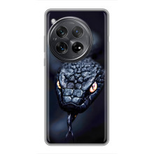 Чохол з картинкою 'Хижаки' для Xiaomi Redmi K80 Pro (Змія)