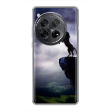 Чохли з зображенням різних тварин на Xiaomi Redmi K80 (Кінь)