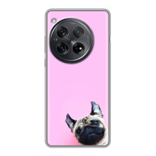 Чохли з собаками для Xiaomi Redmi K80 (VPrint) – Смішна собака