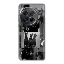 Чехол ДОБЕРМАН для Xiaomi Redmi K80 (Коллаж Доберман)