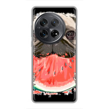 Чехол (ТПУ) Милые собачки для Xiaomi Redmi K80 (Смешной Мопс)