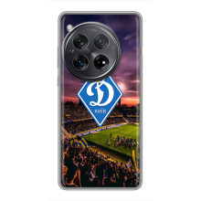 Чехол с ФК Динамо Киев на hooked – Стадион Динамо