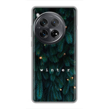 Новогодние, Праздничные Чехлы для Xiaomi Redmi K80 - 2024 год (Winter)